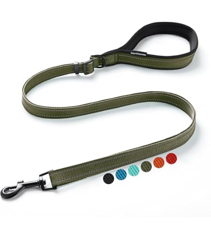 Amazon | リード滑り止めワイヤー制御リード、快適で強力なロープ滑り